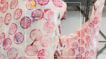 متخزنش غلط.. وزارة الصحة تكشف 8 نصائح ذهبية لحفظ لحوم الأضاحي بأمان وصحة.