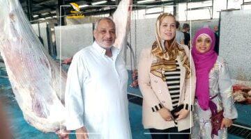 أمان ليك ولبيتك.. أهم 5 مكاسب لذبح الأضاحي بالمجازر.. ونصائح ذهبية هتفيدك كمستهلك