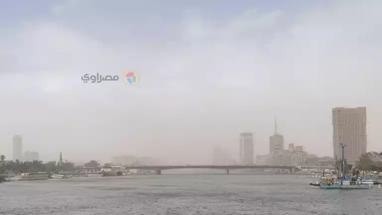 2021 2 28 22 7 51 534.webp