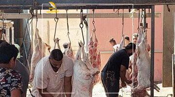 متخاطرش بفلوسك.. 10 آلاف جنيه غرامة لذبح الأضاحي بالشوارع.. ومحافظ القاهرة يكشف عن المجازر الحكومية بالمجان.