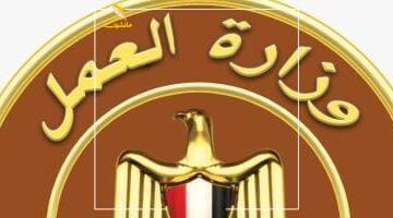 شغل بـ 15 ألف؟.. وزارة العمل تعلن عن فرص عمل جديدة.. اعرف التفاصيل والشروط
