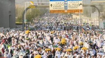 الرحلة غير.. انطلاق تصعيد الحجاج لعرفات بأتوبيسات مكيفة ومجهزة بالكامل في أجواء روحانية.