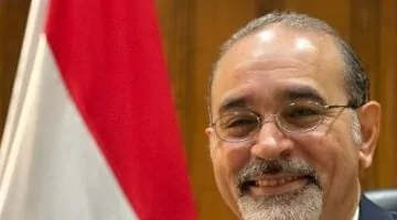 ليها أبعاد.. مصر وهولندا.. مشاورات سياسية رفيعة في لاهاي