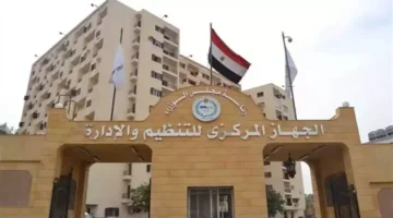خلص الكلام.. التنظيم والإدارة تكشف تفاصيل حاسمة لمسابقة معلمي الحصة