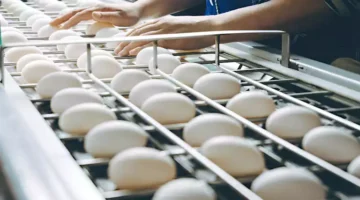 لأول مرة من زمان.. انخفاض أسعار البيض بالأسواق اليوم الجمعة وفقاً لمصدر رسمي