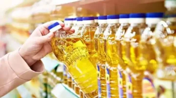 السوق يقلب الموازين.. تراجع أسعار العدس والمكرونة وقفزة في سعر الجبن اليوم بالأسواق المصرية من مصدر رسمي