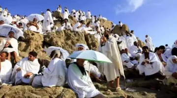 قلبك يطمن.. بعثة حج الجمعيات الأهلية تطمئن على سير التفويج للمدينة المنورة