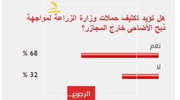 68% بيقولوا كفاية!.. الشعب يطالب بتشديد الرقابة على ذبح الأضاحي خارج المجازر الرسمية