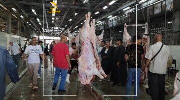 وفر مجهودك وفلوسك.. مجزر البساتين يفتح 5 صالات لاستقبال أضاحي المواطنين مجانًا في القاهرة
