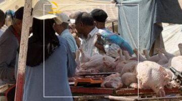 الوضع اتقلب.. إقبال ضخم على “الديك الرومي” بعد إلغاء شعيرة ذبح الأضاحي بالمغرب