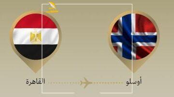 بره وجوه.. وزير الخارجية والهجرة يتوجه للنرويج لمناقشة ملفات مصيرية بمنتدى أوسلو الدولي