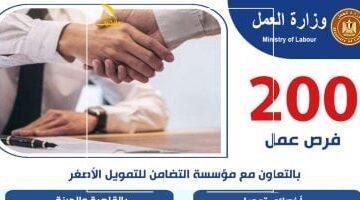 فرصة ذهب.. وزارة العمل تعلن 200 فرصة عمل بالتعاون مع مؤسسة التضامن للتمويل الأصغر