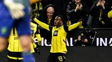 صفقة من العيار التقيل.. تشيلسي يطلب رسميًا نجم بوروسيا دورتموند وفقًا لسكاي.
