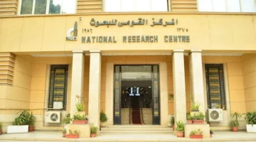 الجو بيقلب فجأة.. “القومي للبحوث”: الظواهر المناخية المفاجئة تتطلب تأهباً علمياً وإنذاراً مبكراً لحماية الجميع