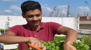 الدولة جدتها.. خبير زراعي يكشف جهودًا حثيثة لدعم القطاع الزراعي وتعزيز مكانة الفلاح