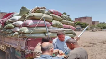 خير مصر زاد.. وزير الزراعة يكشف عن توريد 4 ملايين طن قمح منذ بداية الموسم
