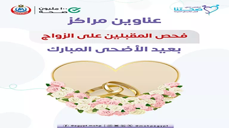 2025 6 4 12 24 57 244.webp