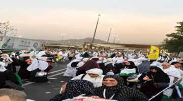 محدش كان يصدق.. نفرة الحجاج لمزدلفة، أهم مراحل الحج الأكبر، تمت بسلاسة تامة والتزام كامل من الشركات