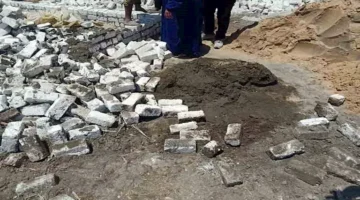 أول بأول.. الزراعة تزيل 20 حالة تعدٍ على الأراضي الزراعية في المهد بمحافظات مصر