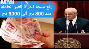 8000 ليكي انتي.. منحة المرأة الماكثة بالبيت بقيمة 8000 دينار جزائري جاهزة الآن