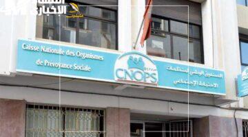 شهادتك في جيبك.. موقع كنوبس المغرب أصبح جاهزًا الآن لتمكينك من تحميل شهادتك وبدء خطواتك الجديدة.