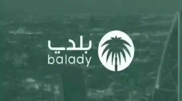 خلصها في ثواني.. رابط منصة بلدي لتجديد الشهادة الصحية في لحظات وطريقة الإلغاء