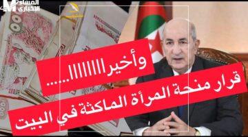 مرتب وأنتي قاعدة.. منحة المرأة الماكثة.. فرصة استثنائية لربات البيوت لدخل شهري والاستقلال المادي