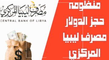 فلوسك.. جاهزة! لليبيين المقيمين بالداخل.. دليل شامل لضمان حقك في حجز 4000 دولار من المصرف بدون أي عوائق.
