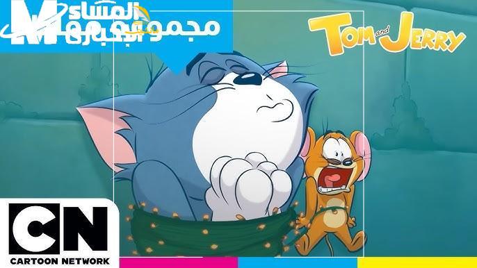 cnn tom 3