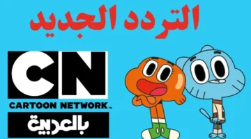 df 768x432 1.webp