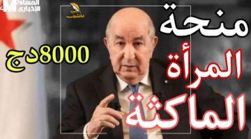 فلوس بيتي.. ابدأي التسجيل في منحة 8000 دج للمرأة الماكثة بالبيت كخطوة جديدة