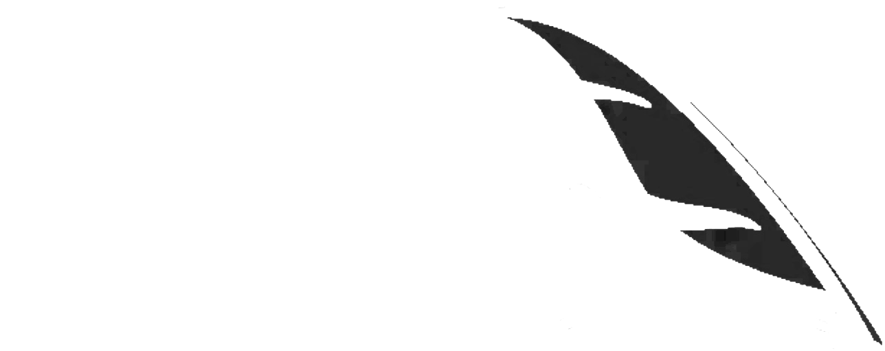 جريدة مانشيت