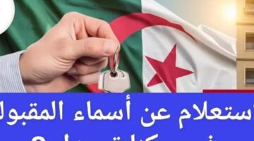 خلصت خلاص.. نتائج الإسكان الاجتماعي “عدل 3″، اعرف اسمك على الموقع الرسمي قبل التحديث الجديد