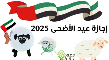 أكيد هتسافر.. موعد إجازة عيد الأضحى 2025 في الإمارات بقرار حكومي حاسم