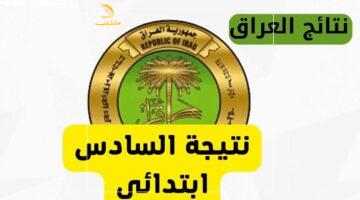 لو شاكك في النتيجة.. تقديم اعتراضات نتائج الصف السادس الابتدائي الدور الأول 2025 متاح الآن