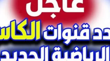 راجع الحماس.. قنوات الكأس القطرية تعيد الحياة للمنافسة الكروية بتغطية HD خرافية وأجواء ملاعب تحبس الأنفاس