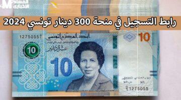 فلوسك جاهزة.. منحة تونس 2025 الجديدة بقيمة 300 دينار.. قدم الآن بخطوات ذكية وسهلة