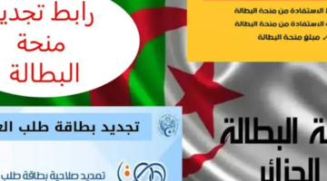 أخيرًا الفرصة.. طريقة التسجيل في منحة البطالة الجزائرية بخطوات بسيطة قدّم الآن