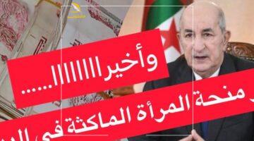هتقبضي وانتي في بيتك.. تفاصيل منحة دعم المرأة الماكثة بالبيت وكيفية التسجيل قبل انتهاء الفرصة