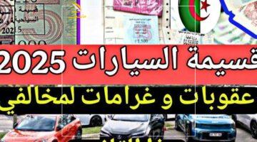 لأصحاب العربيات.. الآن رابط منصة “قسيمتك” qassimatouka.mf.gov.dz لتسجيل قسيمة السيارات في الجزائر