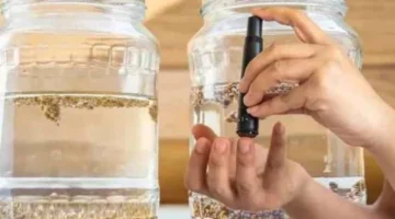 معجزة من مطبخك.. بذور عشبة طبيعية تمتص السكر وتفتت الحصوات بفعالية مذهلة