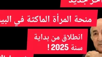 حياتك هتتغير بجد.. 8000 دينار ومنحة استثنائية للمرأة الماكثة بالبيت تفتح أبواب رزق جديد.. تعرفي على طريقة التسجيل