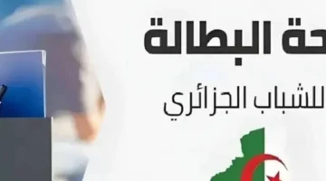 وداعاً للزنقة.. منحة البطالة 2025 هتسندك وتفتحلك باب جديد لحياة كريمة