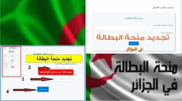 حياتك هتتغير.. منحة البطالة 2025: بوابتك لرزق جديد ومستقبل مشرق بدون عناء