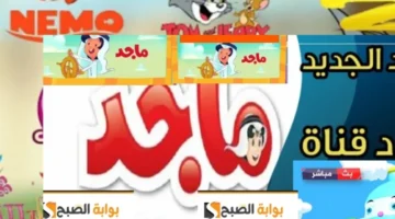 مفاجأة الموسم.. ماجد يعود بمغامرات جديدة وبرامج يومية عبر تردد القناة الناقلة