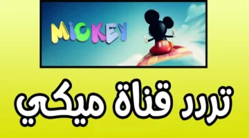 الضحكة هترجع.. قناة ميكي كيدز 2025 تعلن عن عودة قوية ببرامج حصرية وجديدة تملأ بيوتكم بهجة
