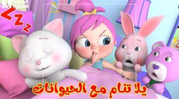 تعليم ولعب في واحد.. تردد وناسة بيبي لأطفالك.. تجربة تعليمية وترفيهية متكاملة