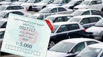 قسيمتك في جيبك.. الرابط الرسمي لمنصة قسيمتك qassimatouka mf gov dz لملء استمارة اقتناء قسيمة السيارات الجزائر