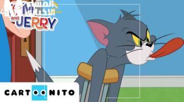 وداعاً للملل.. كل مواعيد عرض كرتون توم وجيري على CN بالعربية وتردد Cartoon Network لعام 2025