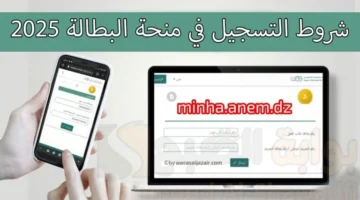 رزق لحد عندك.. رابط تسجيل منحة البطالة الجزائرية 2025 عبر www.anem.dz